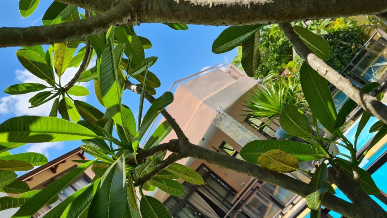 Villa Centre גראנדה באיה מראה חיצוני תמונה